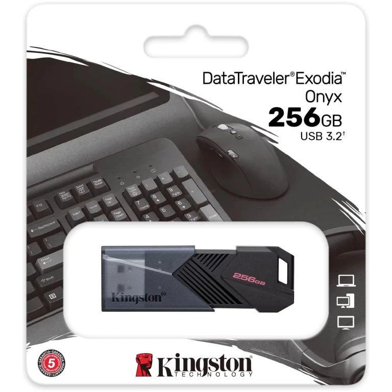 DTXON256GB